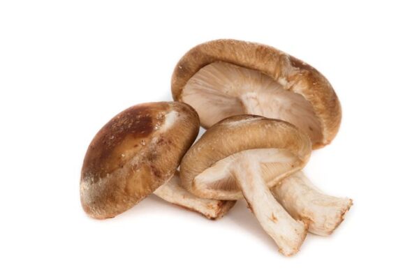 Mushroom (1kg)