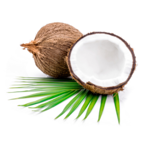Coconut (1Piece)