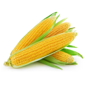 Sweet corn (2pcs)