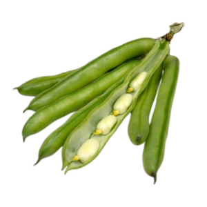 Broad beans