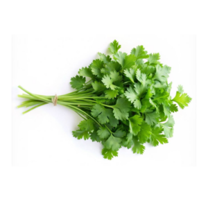 Coriander