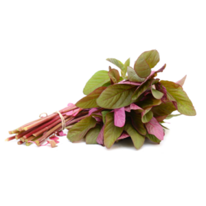 Amaranthus (1set)