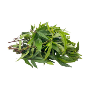 Gongura (1set)
