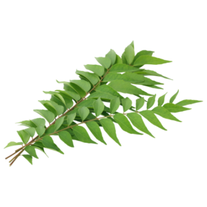 Curry leaves (1set)