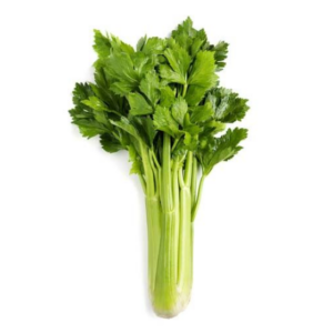 Celery (1set)