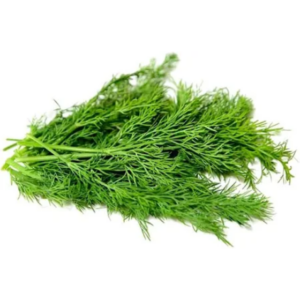 Dil leaves (1set)