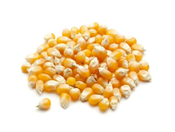 Sweet corn pellets (1kg)