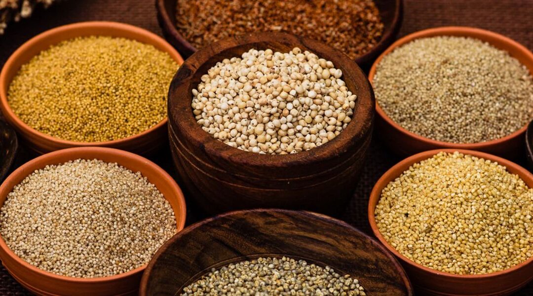 Adl Greens Millets – The Ancient Grain for Modern Health, Shop Now!
