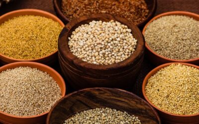 Adl Greens Millets – The Ancient Grain for Modern Health, Shop Now!